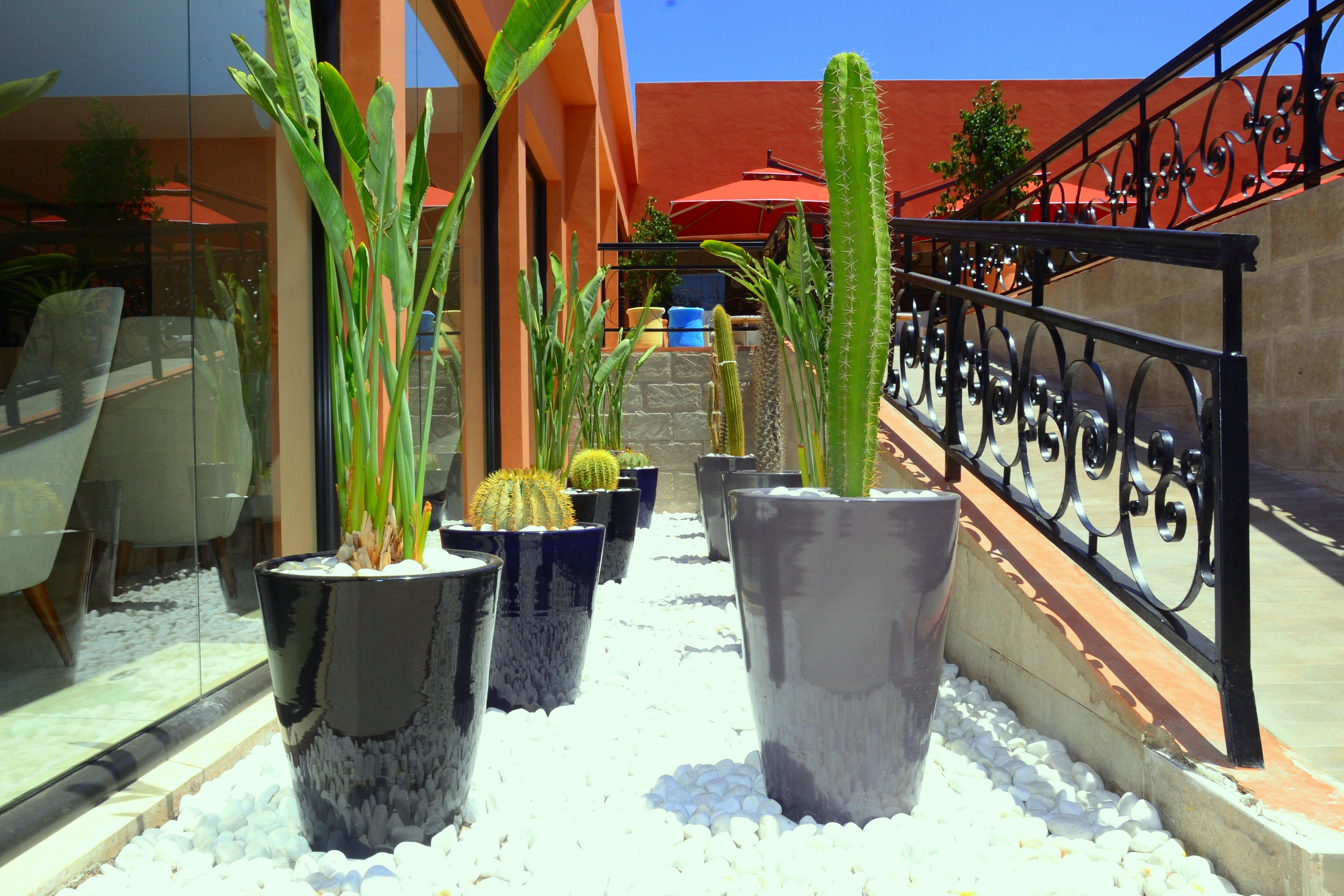 Tui Blue Medina Gardens (Adults Only) Hotel Marrakesh Exterior photo